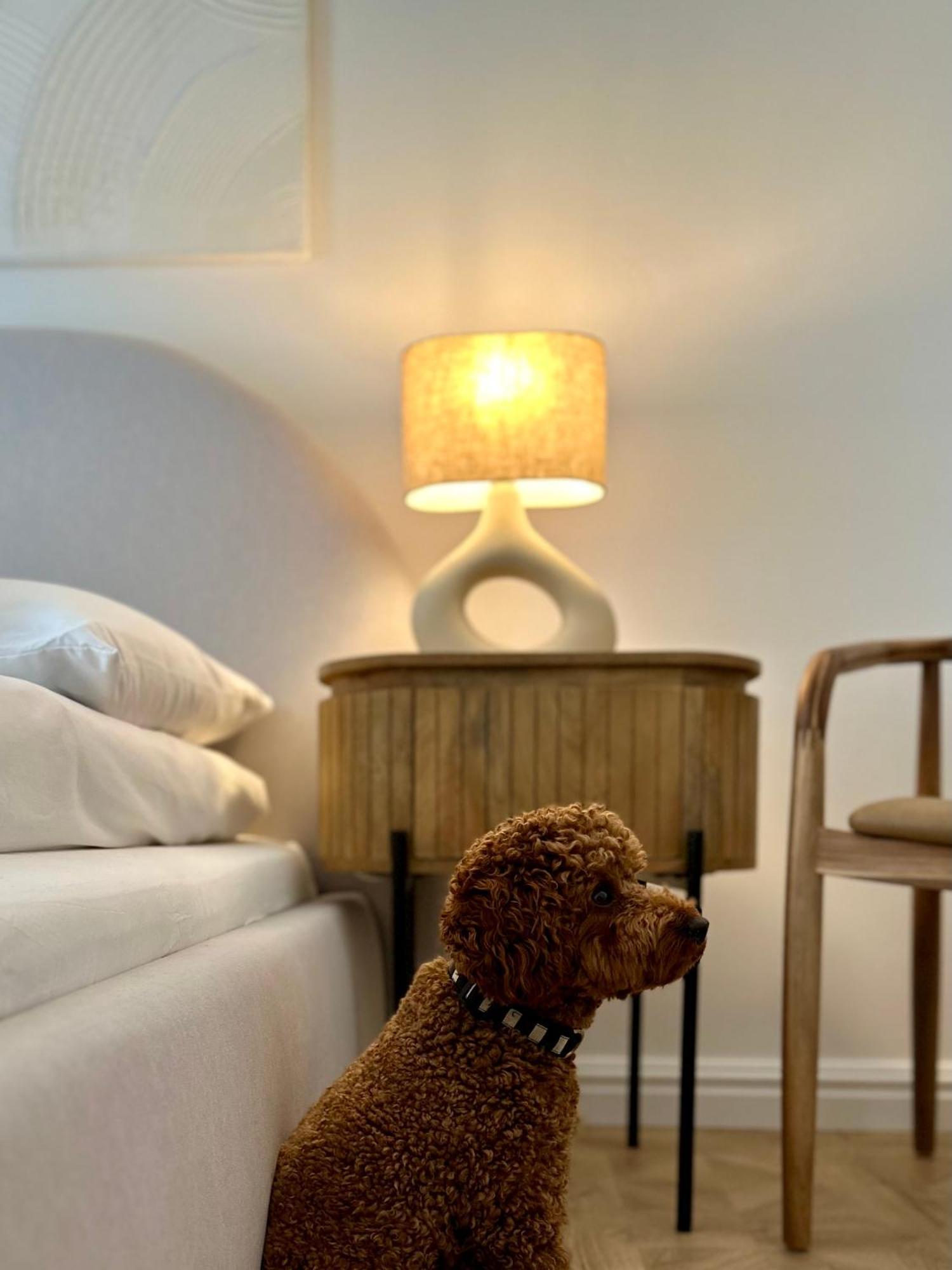 Pure Apartment N°1 วรอตซวาฟ ภายนอก รูปภาพ